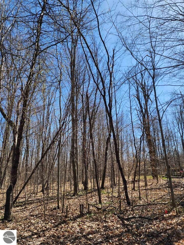 Property Photo: Vl Cliffmont Drive MI 49659