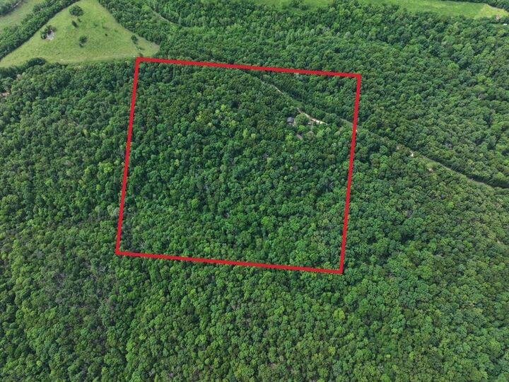 Property Photo: 8 Acres Stone Road MO 64854