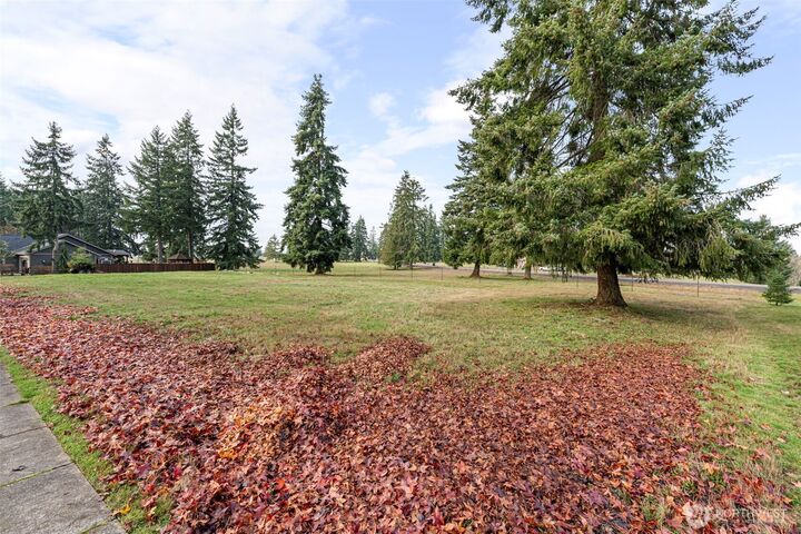 Property Photo: 117 Redwood Lane WA 98570