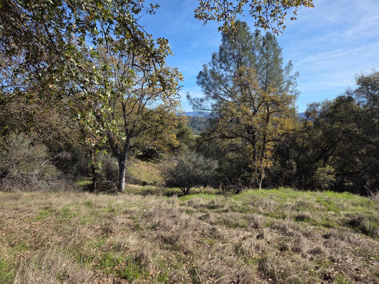 Property Photo: 12 12.19 Ac Road 222 CA 93643