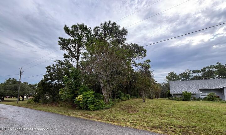 Property Photo:  Lot 8 Nuzum Road  FL 34613 