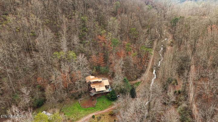 Property Photo:  158 & 168 County Road 484  TN 37329 