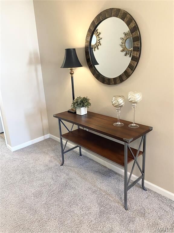 Property Photo:  200 Brookview Way Court  MO 63366 