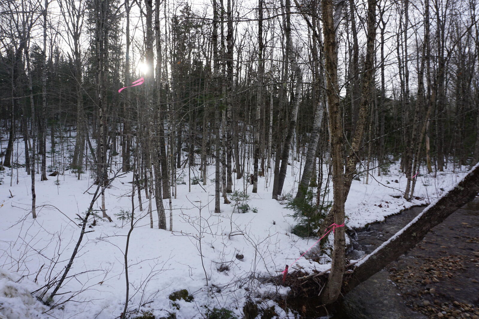 Property Photo: M13l18a-1 Redding Road ME 04219