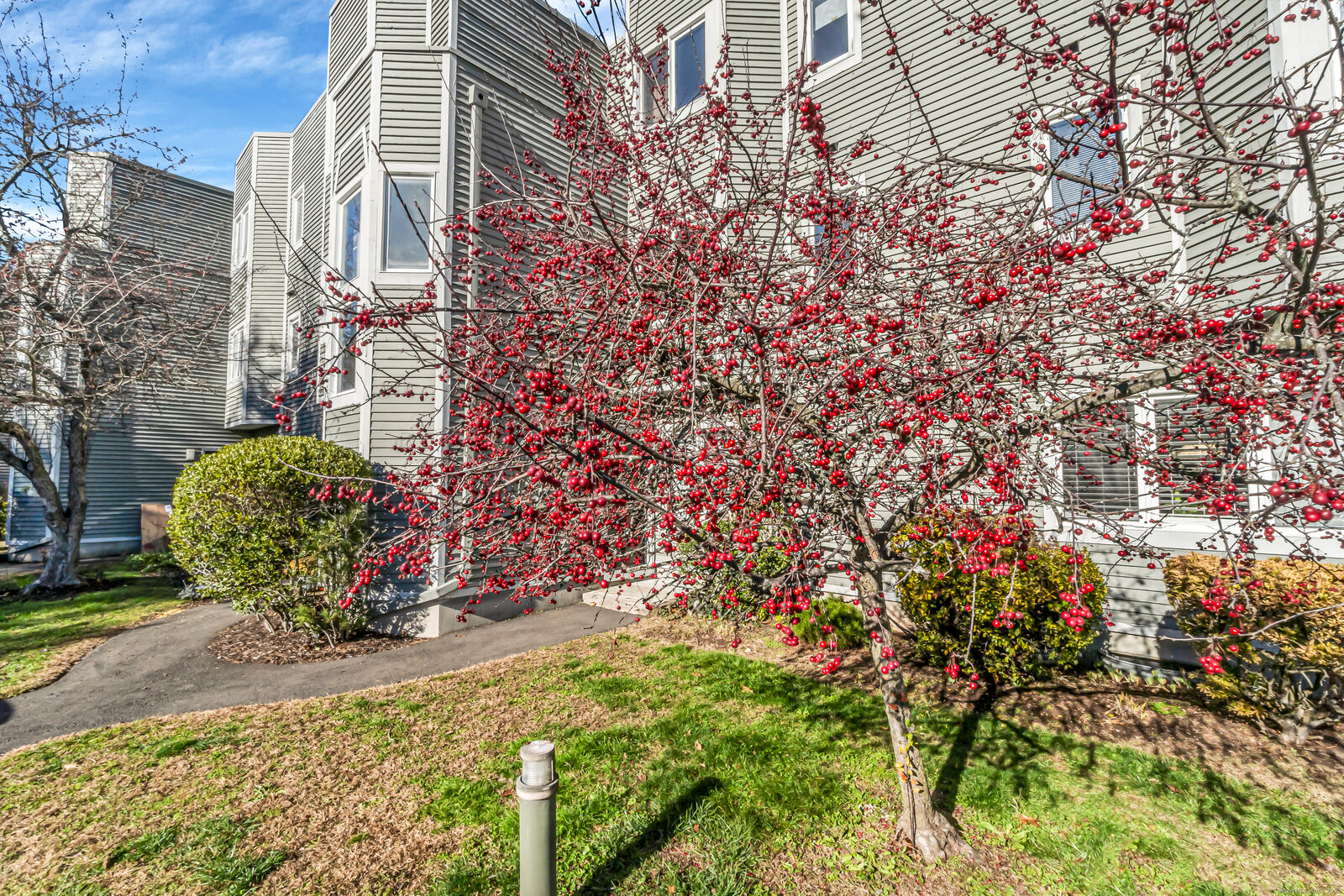 Property Photo: 1412 Whitney Avenue Apt F3 CT 06517