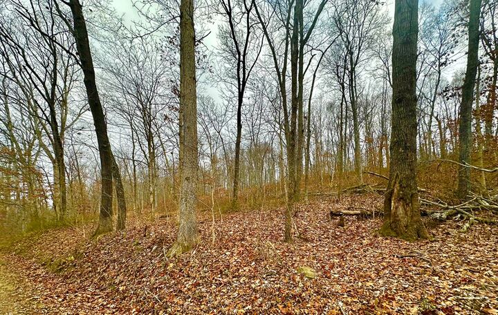 Property Photo: 0 Prussia Road OH 45690