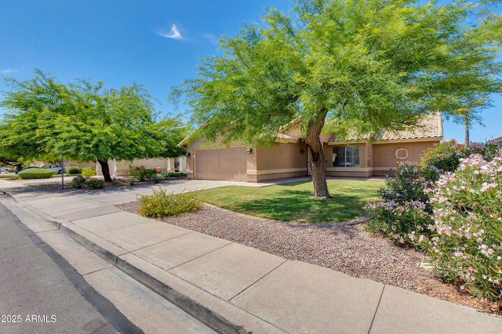 Property Photo:  7346 E Naranja Avenue  AZ 85209 
