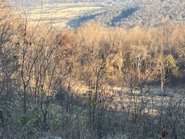 Property Photo:  000 Cooper Point  AR 72560 