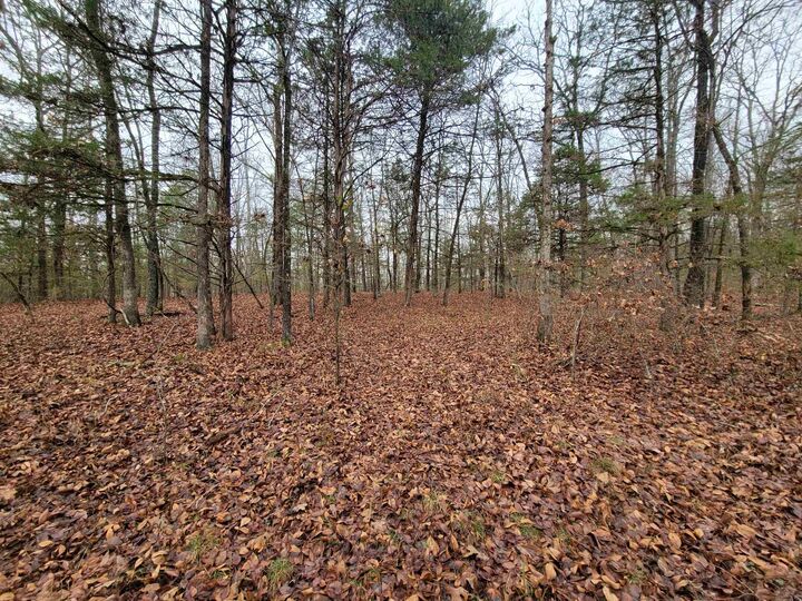 Property Photo:  000 McNew Cemetery Rd  AR 72058 