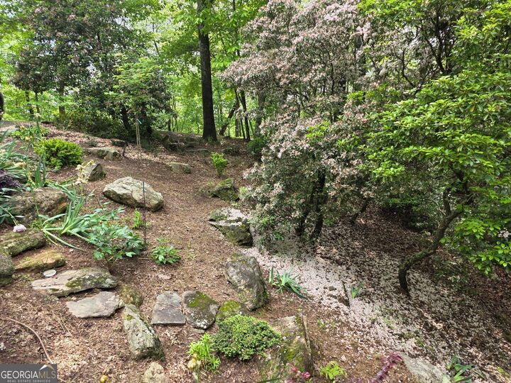 Property Photo: 73 Brentwood Court GA 30571