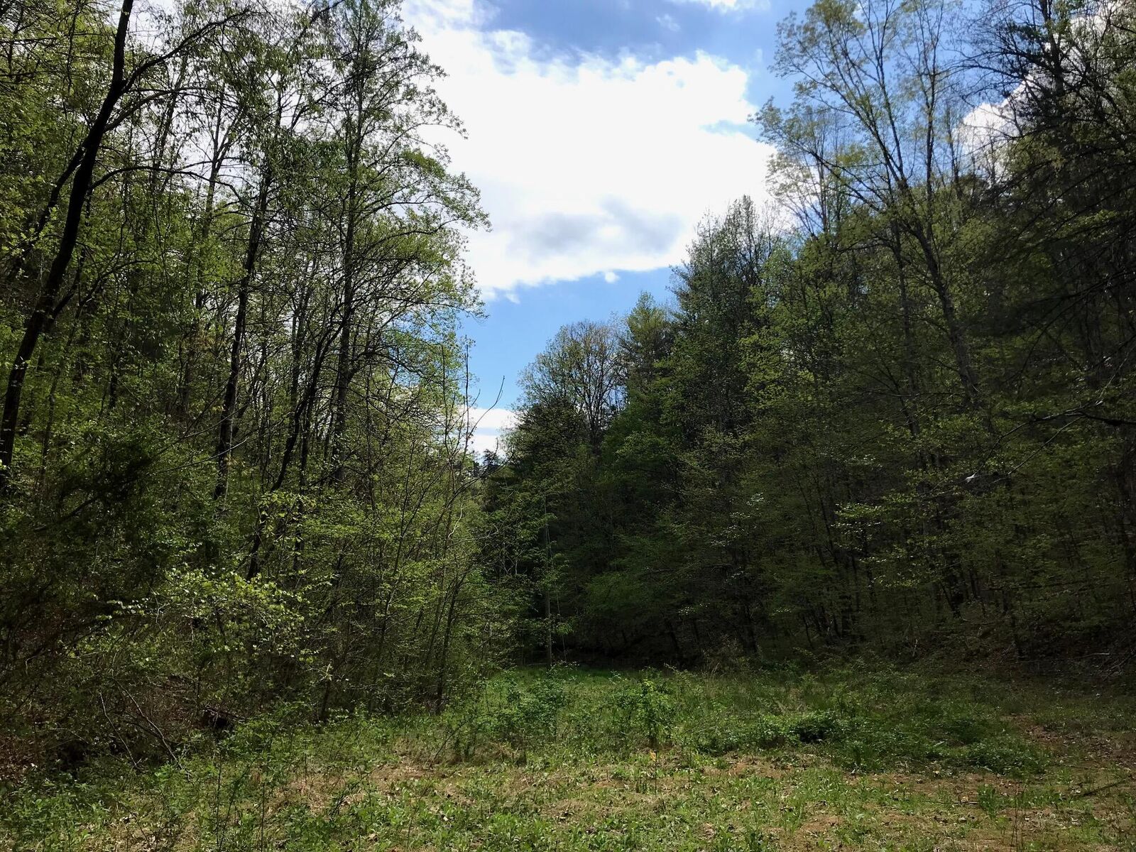 Property Photo:  0 Cane Creek Mtn. Road  TN 37385 