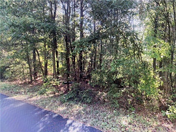 Property Photo:  Tbd Goldonna Road  LA 71031 