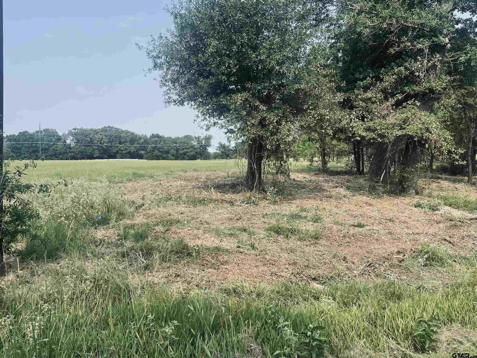 Property Photo: Lot 6 , Leach Woods East Cr 1560 TX 75410