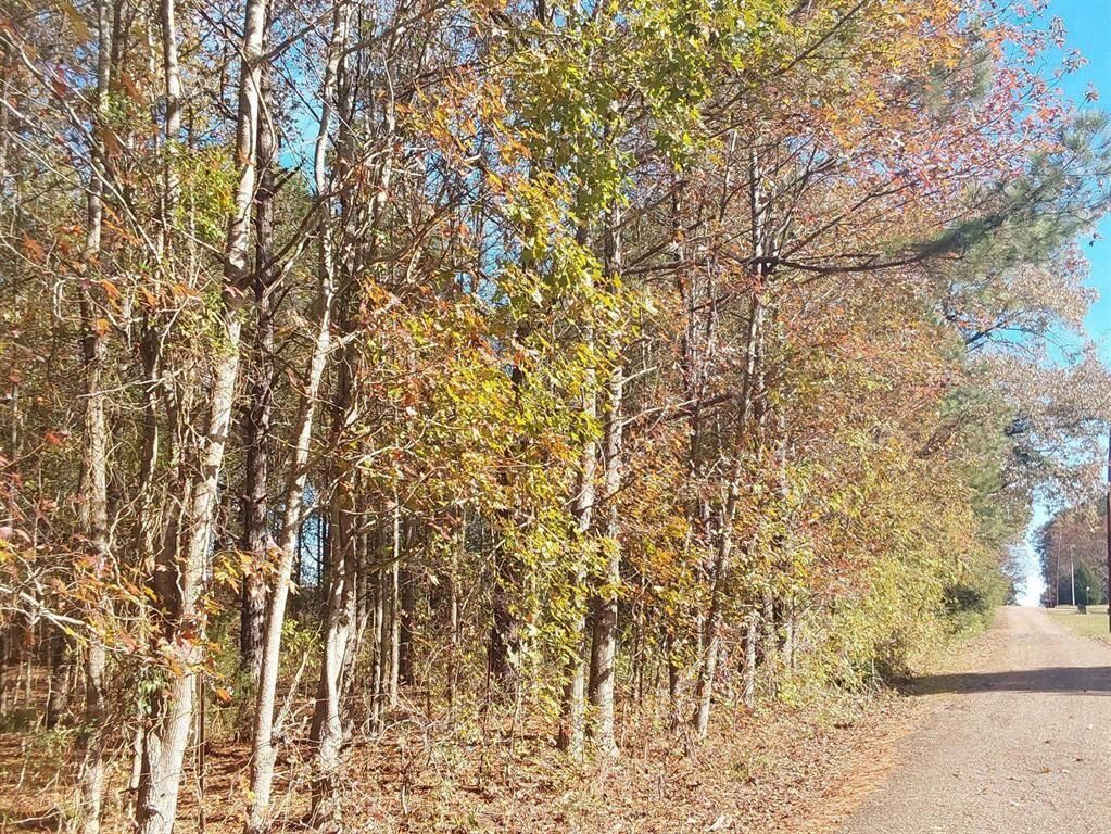 Property Photo: 0000 County Road 4560 TX 75565