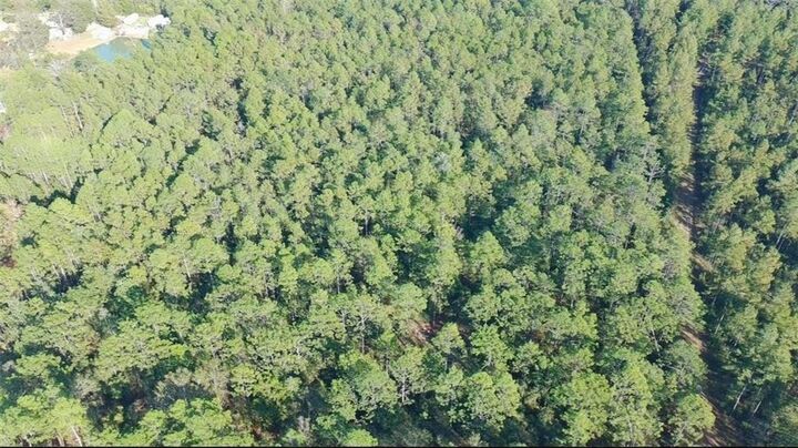 Property Photo: 0 Patterson Road AL 36567