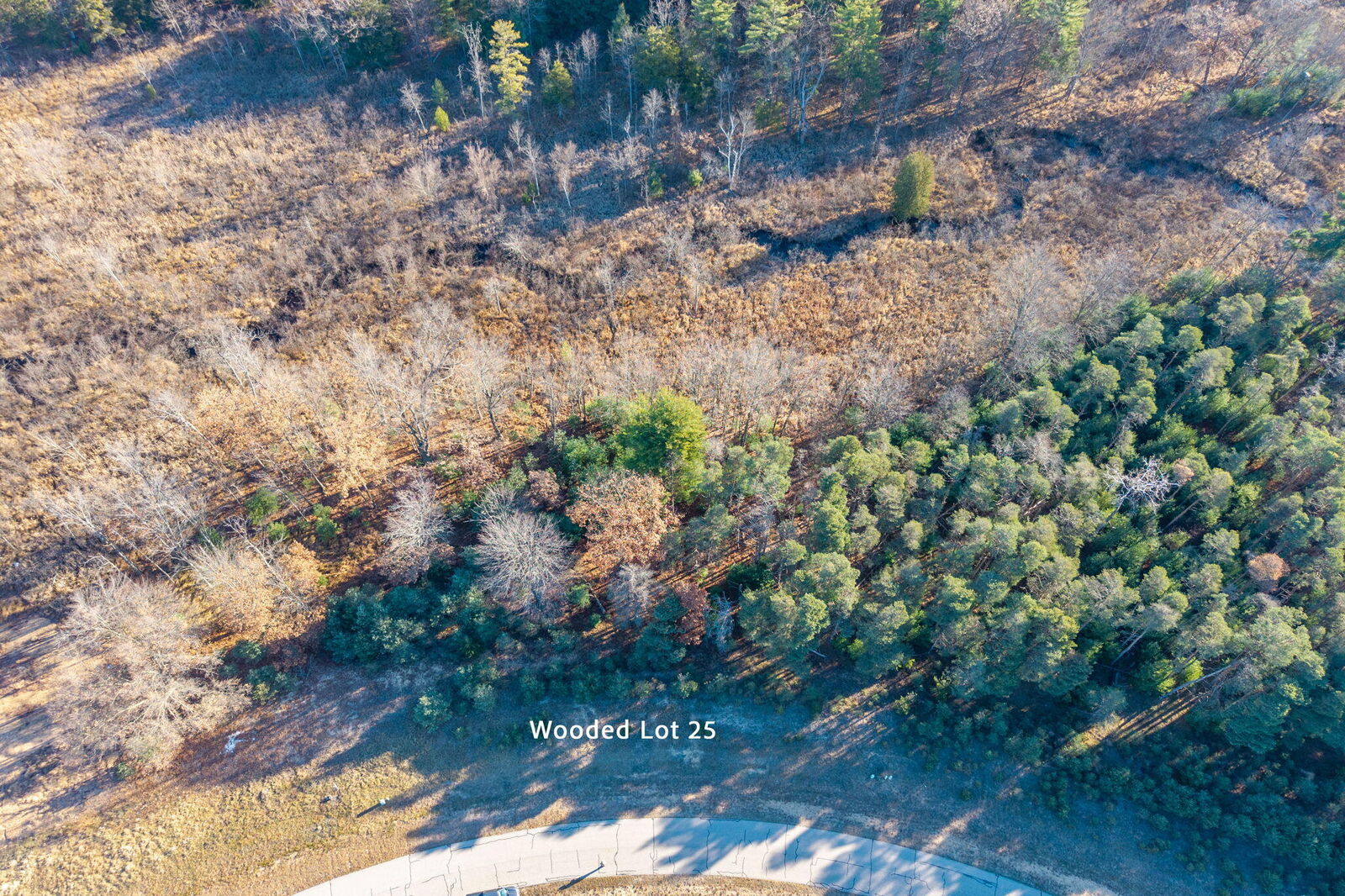 Property Photo:  11250 Killarney Drive  MI 49346 