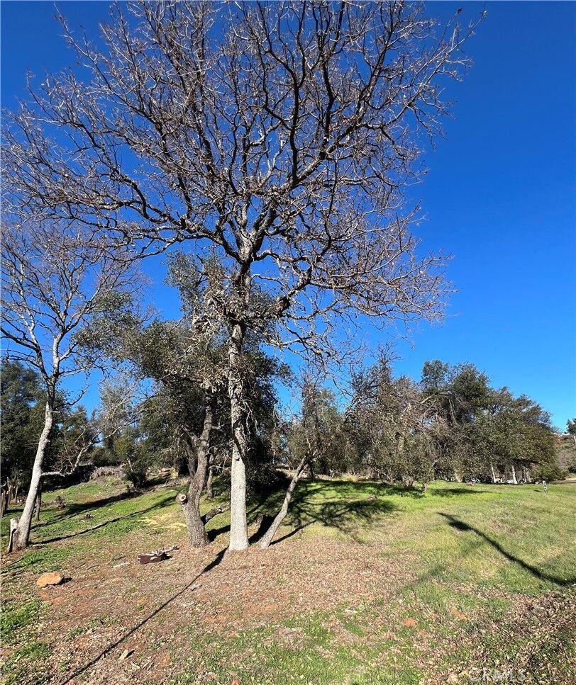 Property Photo:  20393 Powder Horn Road  CA 95467 