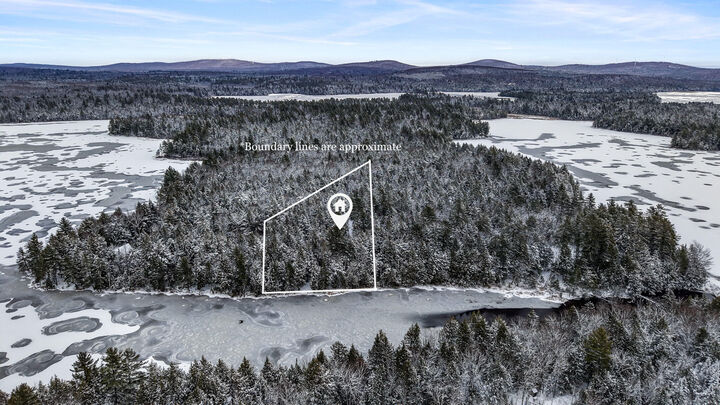 Property Photo:  124 Dead Stream Road  ME 04457 