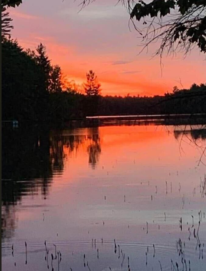 Property Photo:  124 Dead Stream Road  ME 04457 