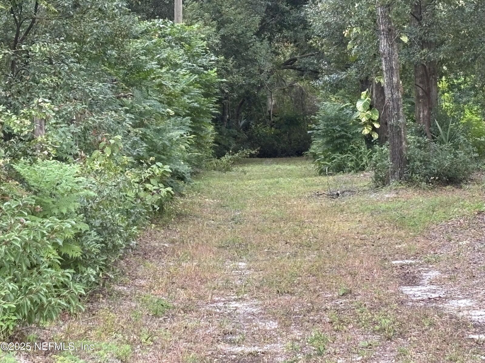 Property Photo:  3319 Golden Gem Road  FL 32712 
