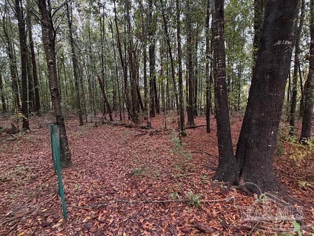 Property Photo: 3218 Archies Way FL 32571