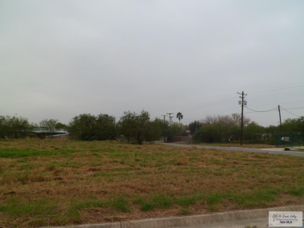 Property Photo: Lot 2 East Circulo Paradise TX 78586