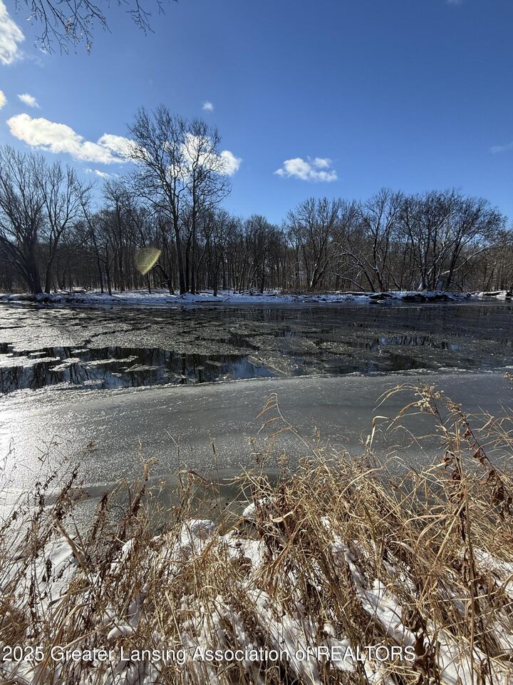 Property Photo: 0 Island MI 48875