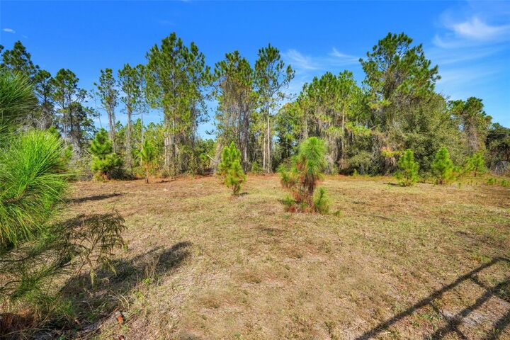 Property Photo:  Youth Camp Road  FL 34736 