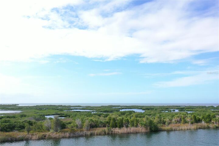 Property Photo:  Lugustrum Drive  FL 34607 