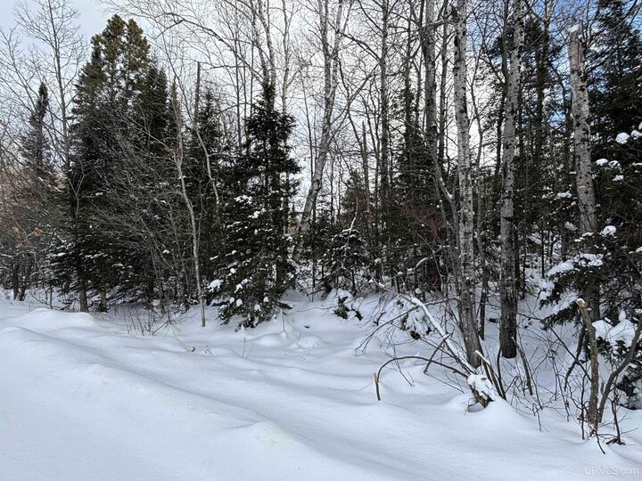 Property Photo:  Tbd Al County Road  MI 49814 