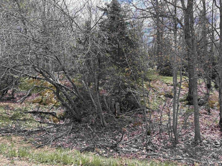Property Photo: Tbd Al County Road MI 49814