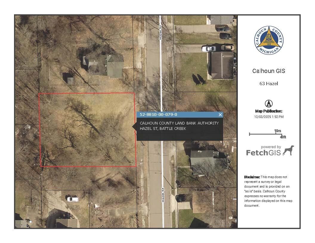 Property Photo:  63 Hazel Street  MI 49037 