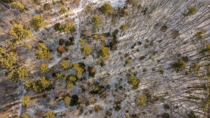 Property Photo:  Lot 56-2 Chester Road  NH 03032 