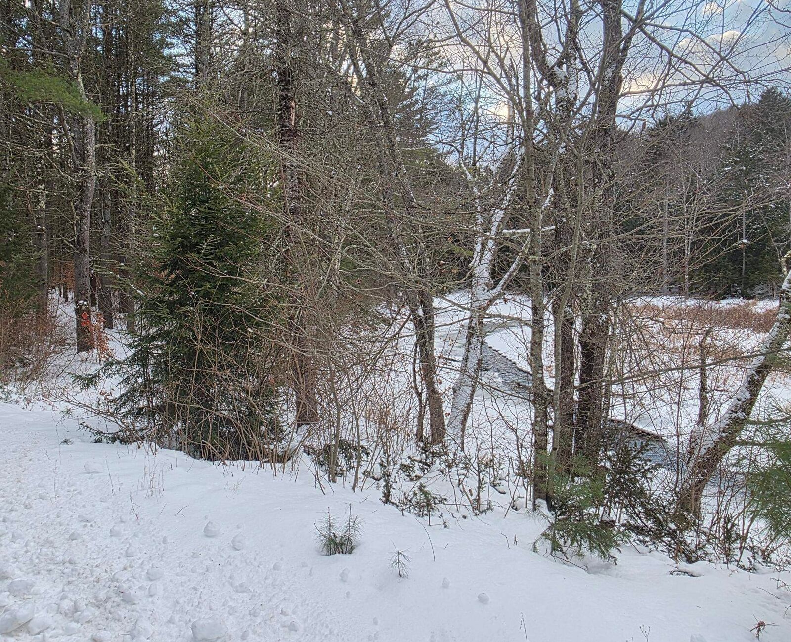 Property Photo:  0 Route 10  NH 03448 