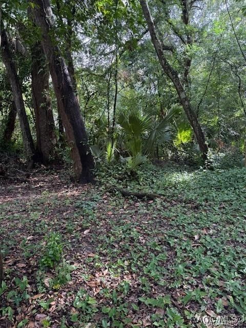 Property Photo: 9379 E Tin Pan Alley FL 34453