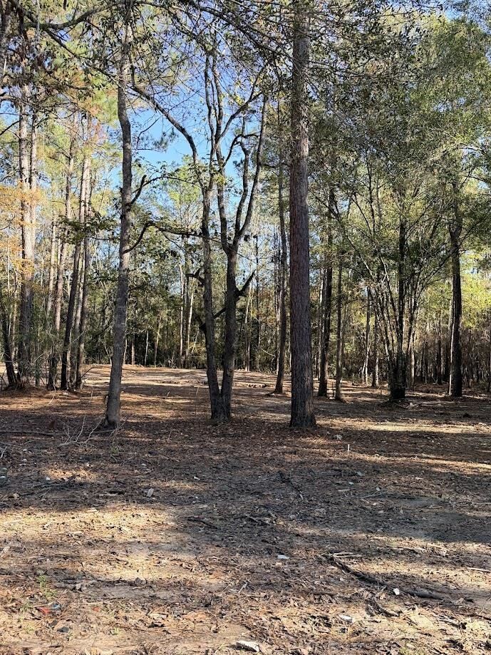 Property Photo:  512 Monte Kelly  TX 77612 