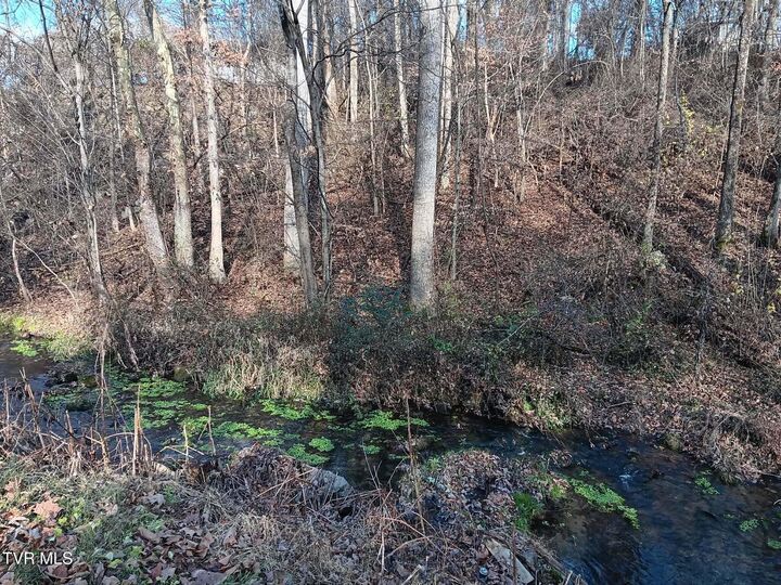 Property Photo: 000 Independence Ave TN 37645