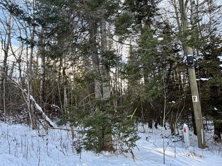 15319 Harmony Lane  Cheboygan MI 49721 photo