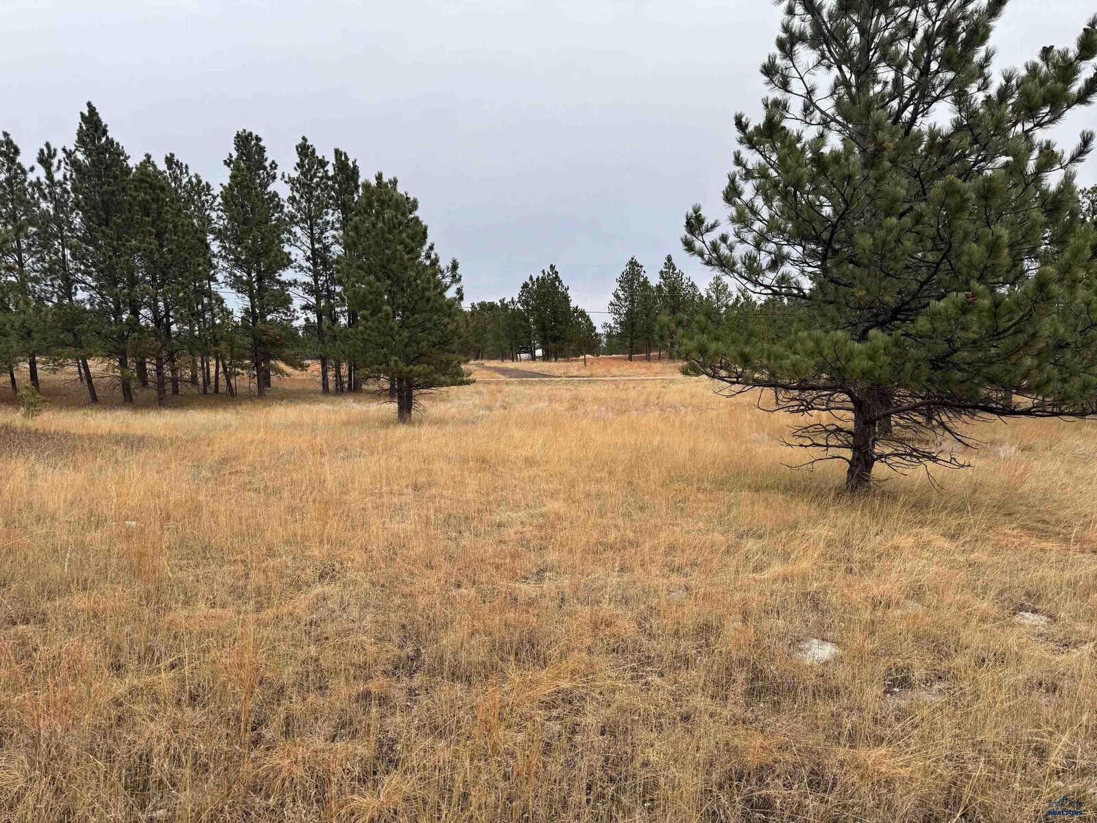 Property Photo: Tbd Lincoln Tarken Ln SD 57769