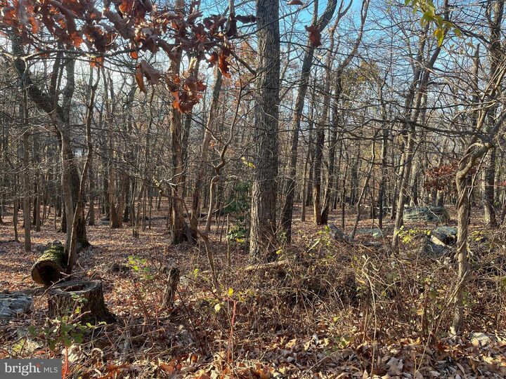 Property Photo:  Stone Ridge Road  WV 25425 