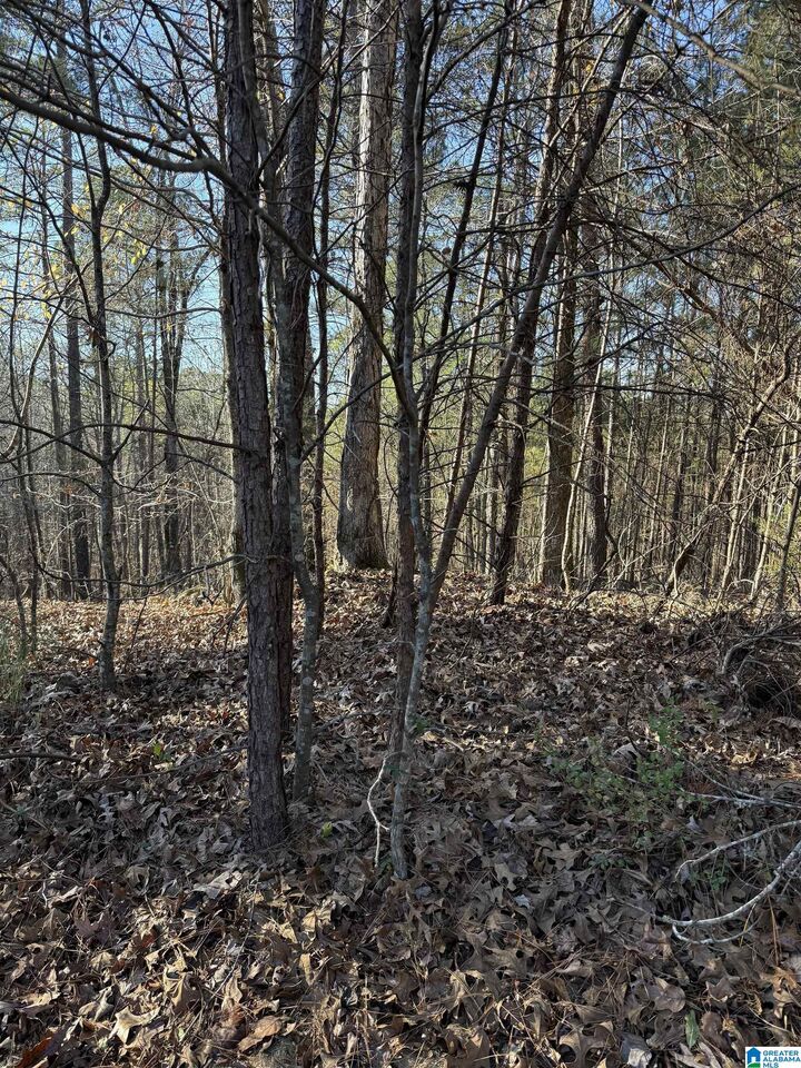 Property Photo: 1018 Long Branch Parkway 139 AL 35040