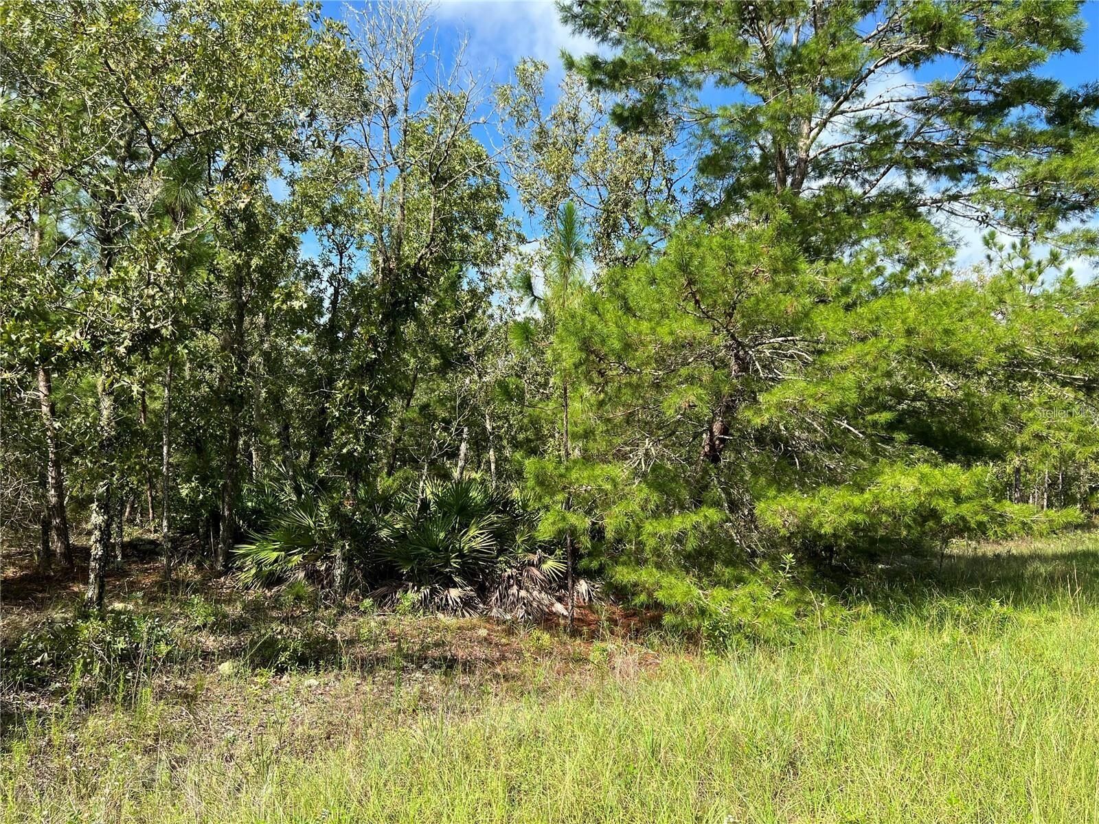 Property Photo:  Tbd SW 93rd Street  FL 34432 