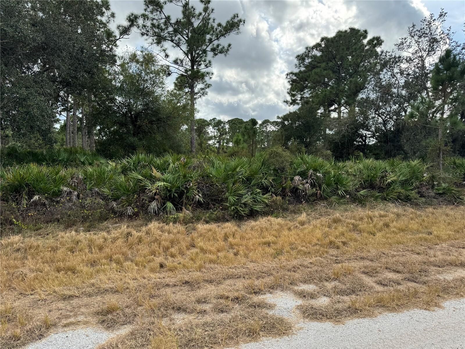 Property Photo:  Broward Avenue  FL 34291 