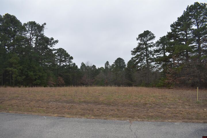 Property Photo:  010-11219-038 Swiss Alps Lane  AR 72653 