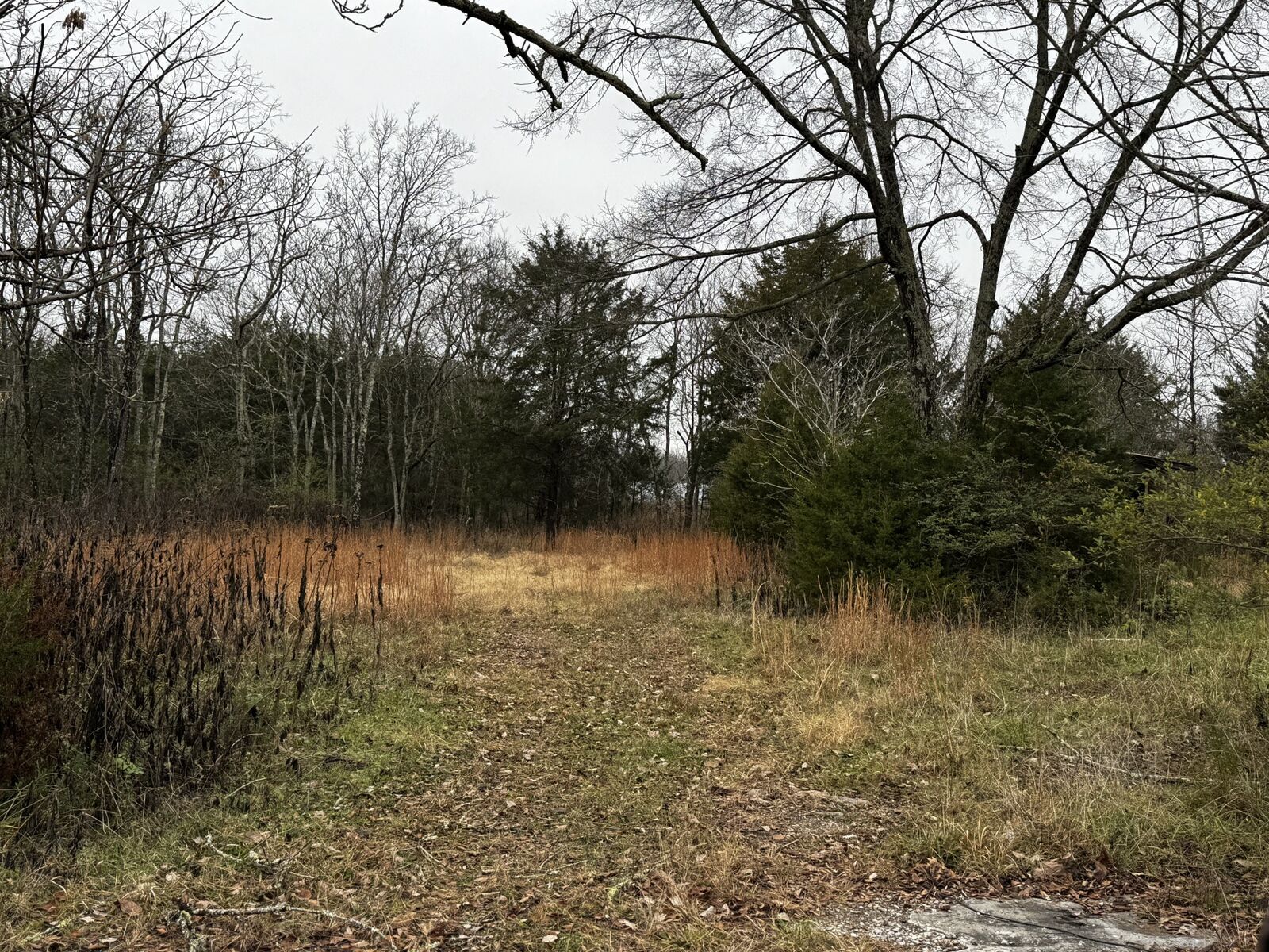 Property Photo: 3421 Joe Brown Rd TN 37129