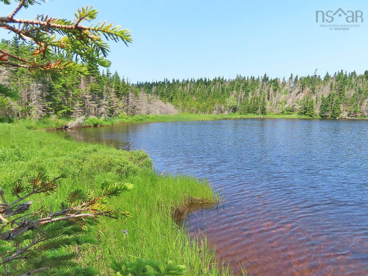 Property Photo:  Lot 31 Belfry Lake Road  NS B1K 2E8 