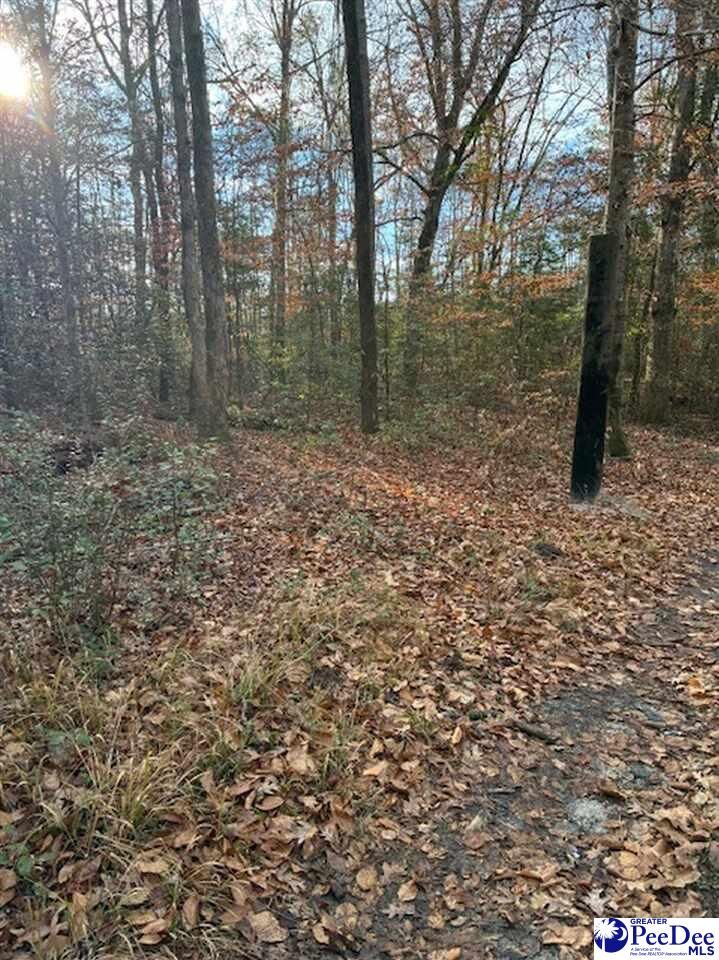 Property Photo:  Tbd Black Creek Road  SC 29501 