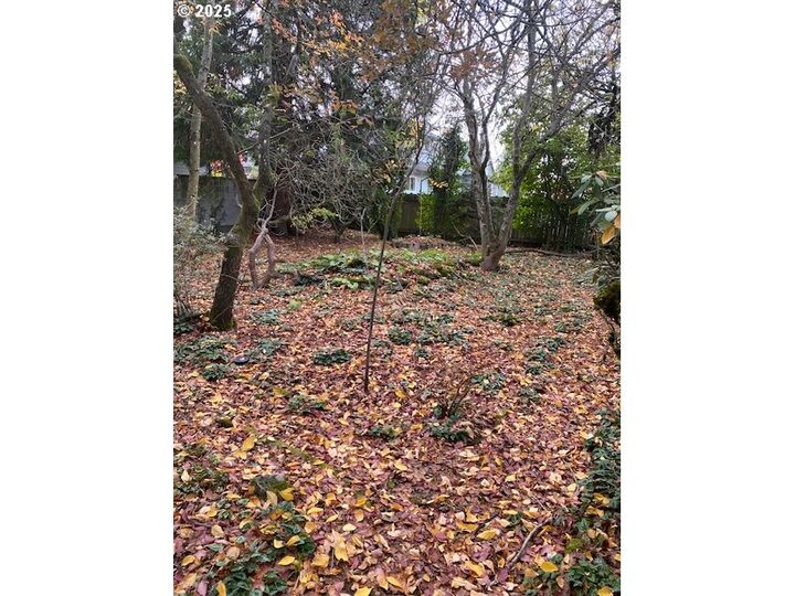 Property Photo:  3515 N Lombard St  OR 97217 