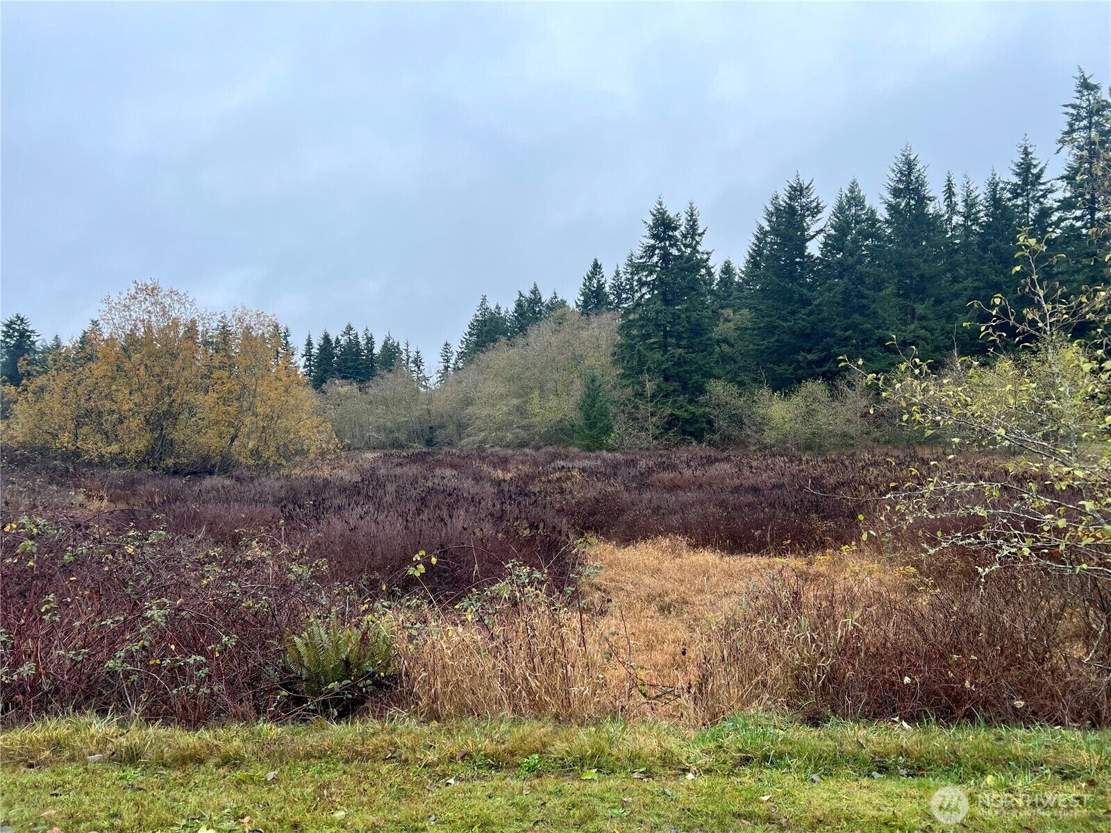 Property Photo: 0 Lot 12 Rollinghill Road WA 98236