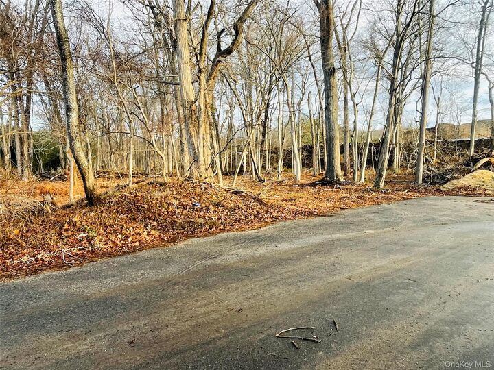 Property Photo: Vl Daniel Lane NY 11953